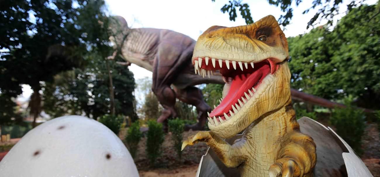Vale dos Dinossauros