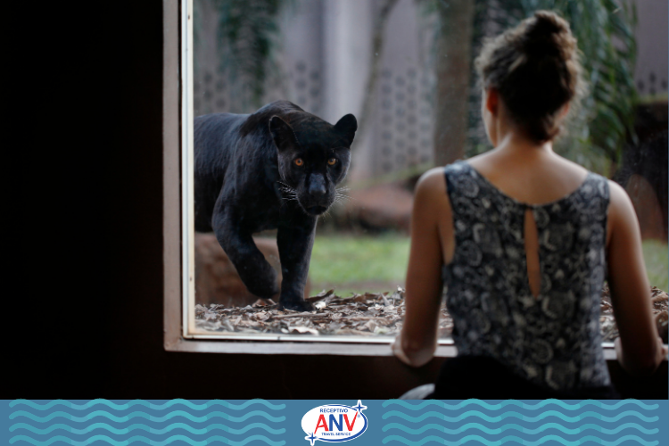 Mulher observando animal por grade de vidro | Itaipu Binacional Muito além do vertedouro