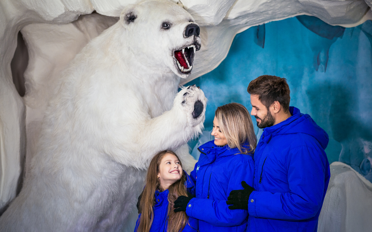 Dreams Park Show - Dreams Ice Bar