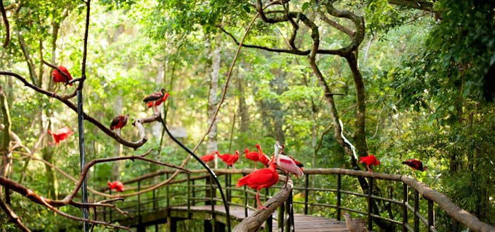 Parque das Aves5
